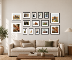 Panorama · 15 frames