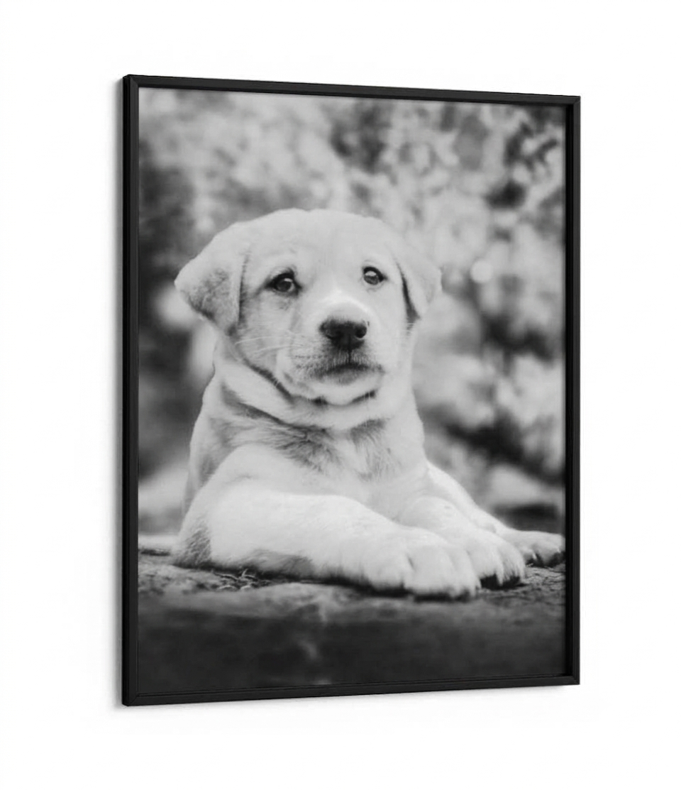 Personalised Photo Frame — Upload Your Own
