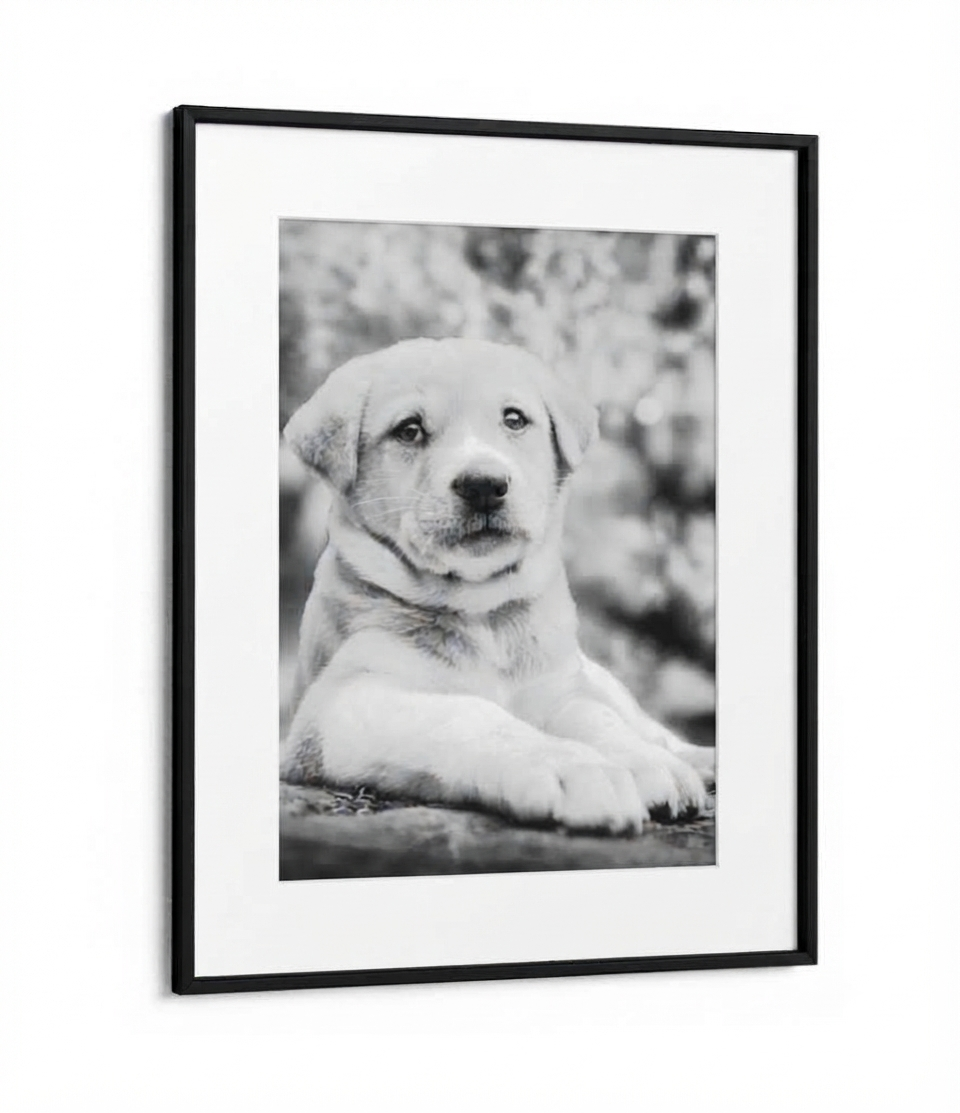 Personalised Photo Frame — Upload Your Own